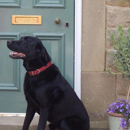 Bed and Breakfast Fern Bank Great Rowsley Exteriér fotografie