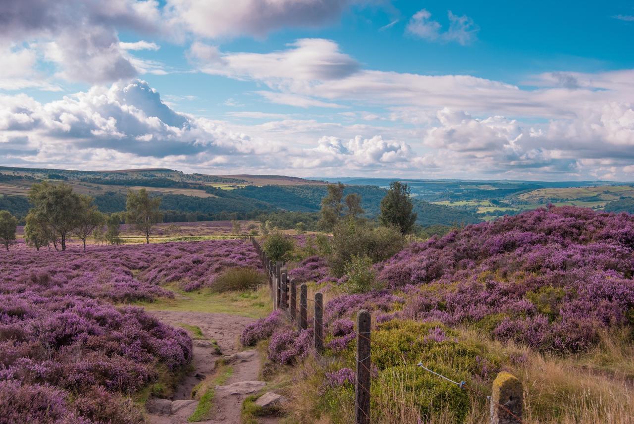 Bed and Breakfast Fern Bank Great Rowsley Exteriér fotografie